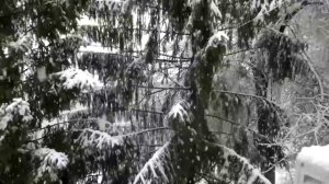 Красивый снегопад