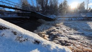 15 ноября 2025