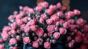 С ДНЁМ РОЖДЕНИЯ ! Шикарные открытки! Самое красивое поздравление для женщины!