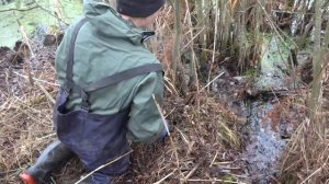 Оружие в глубинах болота, Раскопки по войне