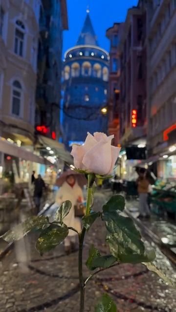 Турки #shortvideo смотреть онлайн