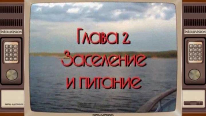 Глава 2. Заселение и питание