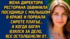 Жена директора ресторана обвинила посудницу с малышом в краже и порвала сироте платье… А когда богач