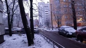 15 ноября 2025. Первый снег.