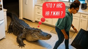 Дикие животные в городе!