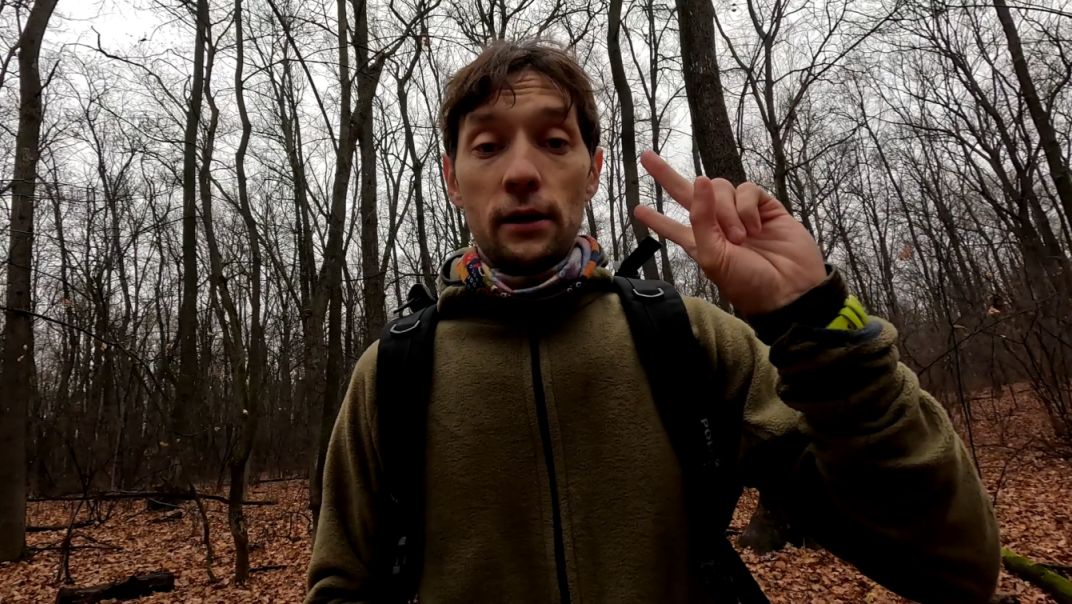 Цифровой детокс. Мысли в слух на пробежке в лесу. День 2-1