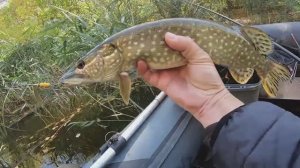 х. Калинин. Лучшее место для отводного