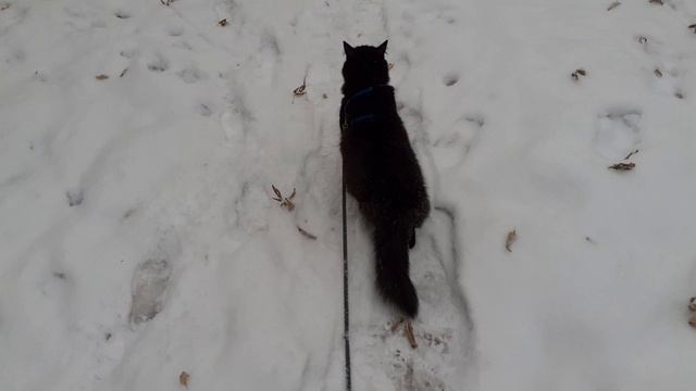 Снегу полно.