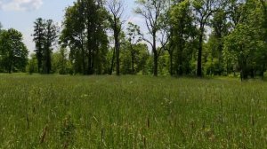 Притчи Иисуса Христа _ природа .mp4