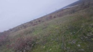 1511205 Медвежья балка