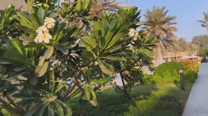 10 ноября, мой отдых продолжается.