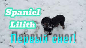 Во Владимире первый снег!