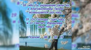 Смотри на проблемы 
в Свете Божиего присутствия.