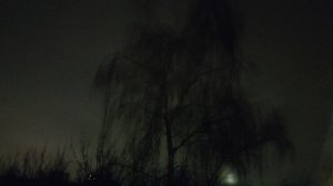 15 ноября магическая дождливая ночь - репетиция перед снегом...