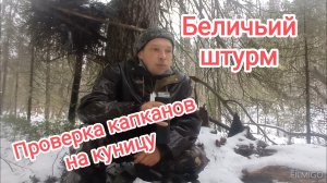 Проверка капканов на куницу. Нашествие белок.