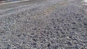 Пляж Сукко 15 Ноября 2025 года. Репортаж Светланы Тихоновы. Купание продолжается...