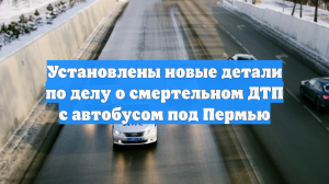 Установлены новые детали по делу о смертельном ДТП с автобусом под Пермью