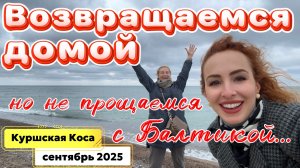 До свидания Балтика 👋// Перелет Аэрофлотом (эконом) Калининград-Москва и ЦЕНЫ в аэропорту