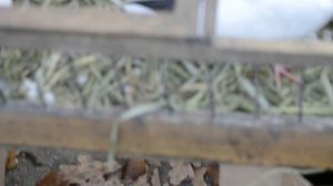 г.Енакиево.15.11.25 г.