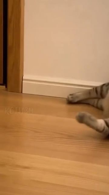 Моë утро в понедельник: