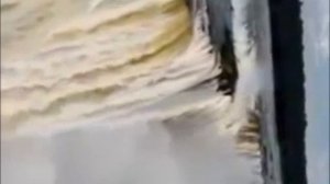 Чудо природы