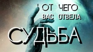 ОТ  ЧЕГО  ОТВЕЛА   СУДЬБА