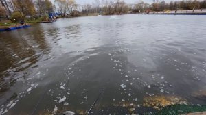 Рыбалка на форель. Попали на соревнования! Монтаж  удочки "убийца - форели"