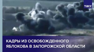 ТАСС публикует кадры из освобожденного Яблокова в Запорожской области