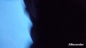 шоу бешеная карусель