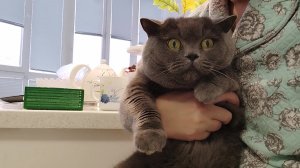 Опять двадцать пять/Обзор продуктов с ЛЕНТЫ/Готовлю на несколько дней