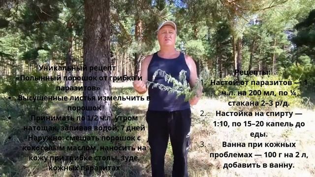 Врачи не расскажут, а травы спасут. Канал Игоря Верещаги. "Путь длиною в жизнь и вибрации бытия.