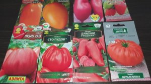 Фавориты- сорта томатов моей теплицы. Все: сахаристые, сочные, крупноплодные, высокоурожайные.