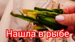 Бюджетный ОБЕД и УЖИН/ Едим в номере/