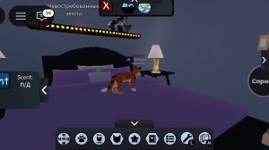 играем в игру коты воители, роблокс