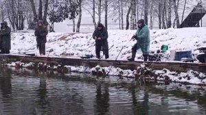 WhatsApp Video 2025-11-15 at 09.36.31