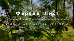 Ференц Лист, Венгерская рапсодия № 2, до диез. Классическая музыка