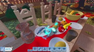 обново в семье птиц