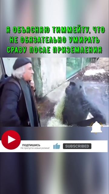 PUBG:Тиммейтов не выбирают...