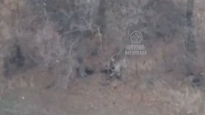 🔴Два фашиста сдаются в плен в селе «Успеновка», Запорожской области🔴