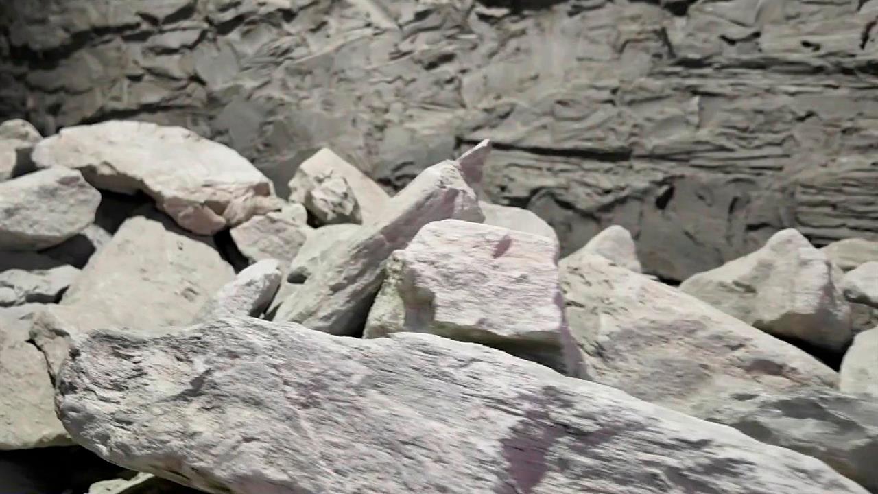 Динозавров еще не было: в Центре истории метро СПб показали глину, найденную при стройке.