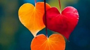 Кому-то сделают предложение, а кого-то поддерживают высшие силы. Расклад на сегодня от Оракула.