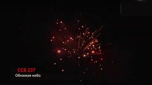 ССБ 237 Обнимая небо