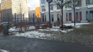 Мы с Басиком гуляем на улице