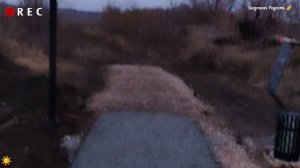 Обзор моя осенняя🍂 прогулка в Соловьиной роще в Солнечном ☀️.