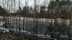 Карелия - Гирвас 2023 г.