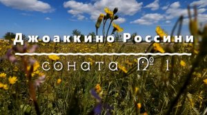 Джоаккино Россини, соната для струнного квартета номер 1. Классическая музыка