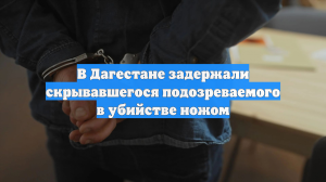 В Дагестане задержали скрывавшегося подозреваемого в убийстве ножом
