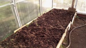 НА УЧАСТКЕ В НОЯБРЕ.