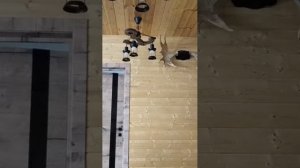 рецепт торта