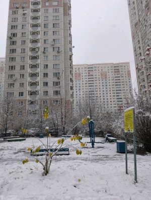 Джингл белс